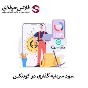 🟥آشنایی با سرمایه گذاری در صرافی کوینکس – سود ثابت در صرافی کوینکس چیست؟🟥